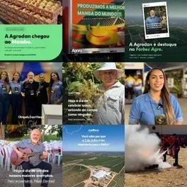 Feed do Instagram da Agrodan feito pela Detalhe
